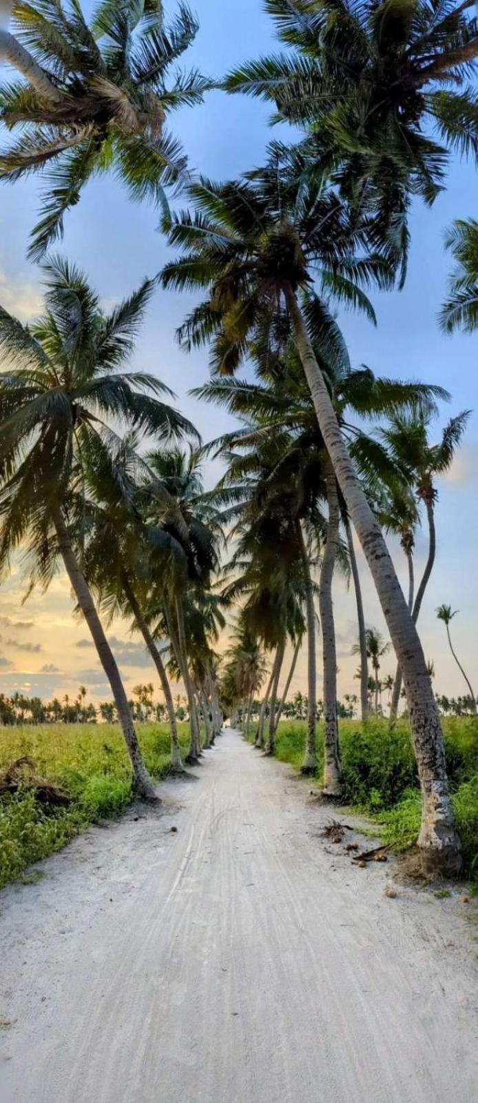 Thoddoo Garden Inn المظهر الخارجي الصورة